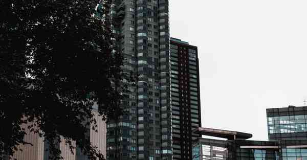 佛跳墙官网下载